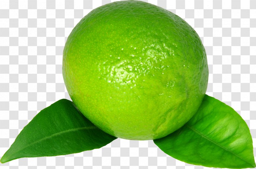 Key Lime Lemon Persian - Rangpur Transparent PNG