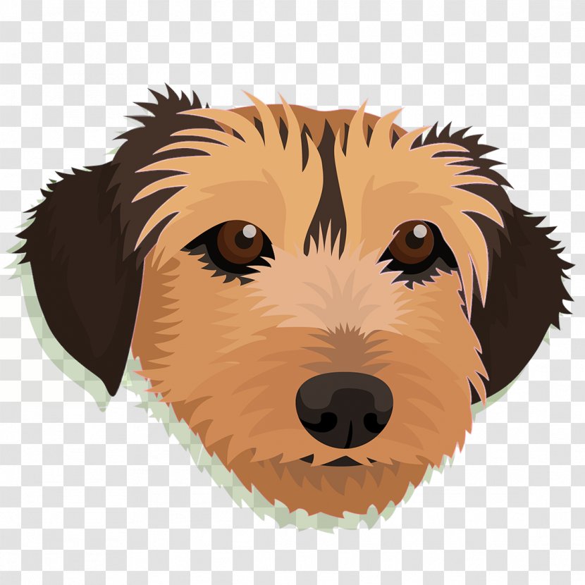 Dog Breed Puppy Retriever Whiskers - Love Transparent PNG