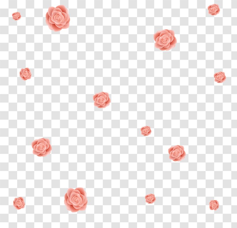 Flower Beach Rose Petal - Textile - Light Pink Dream Roses Floating Material Transparent PNG