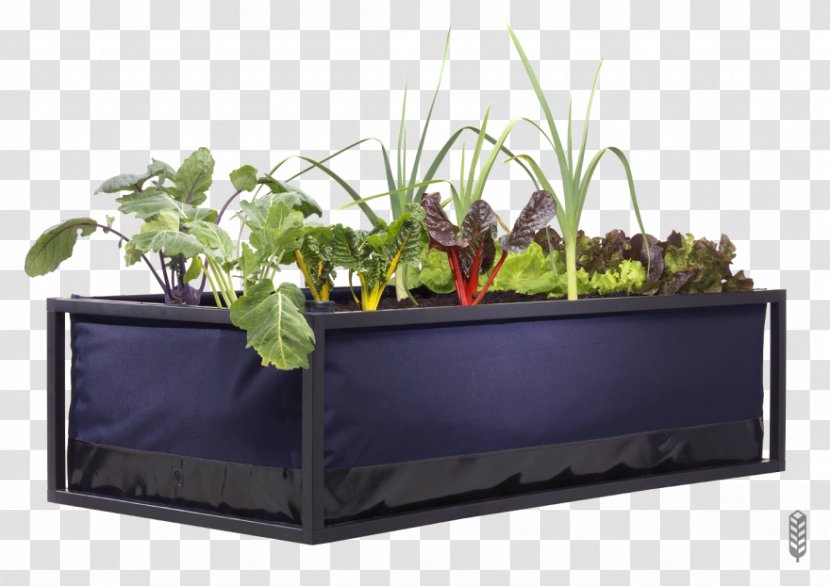 Urban Agriculture Raised-bed Gardening Irrigation - Herb - Farm Transparent PNG