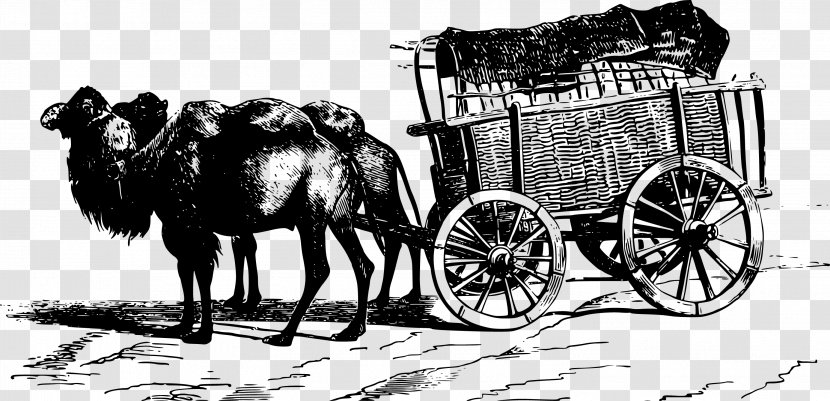 Bactrian Camel Cart Illustration - Public Domain - Carriage Black And White Vector Transparent PNG