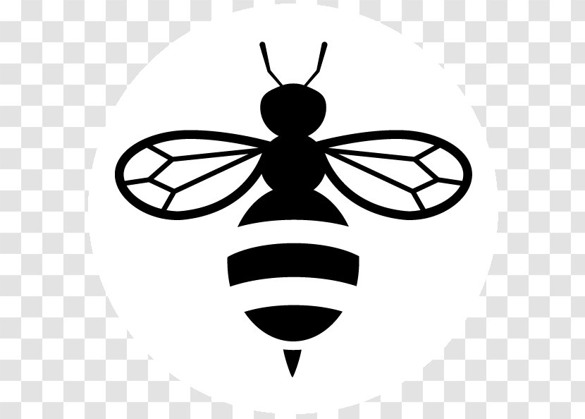 European Dark Bee Clip Art - Blackandwhite - Pest Transparent PNG