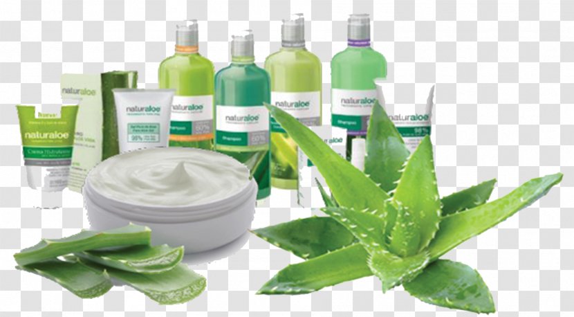 Skin Nail Aloe Vera Cream - Plant Transparent PNG