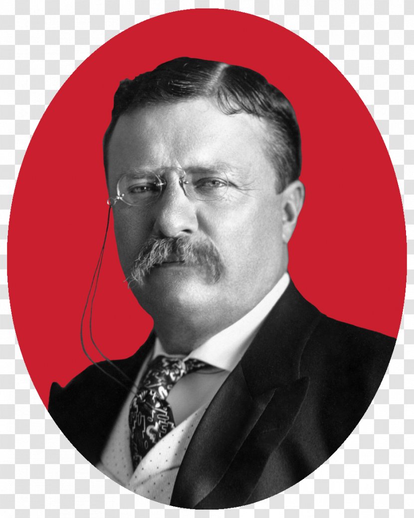 The Presidency Of Theodore Roosevelt United States America Assassination William McKinley President Transparent PNG