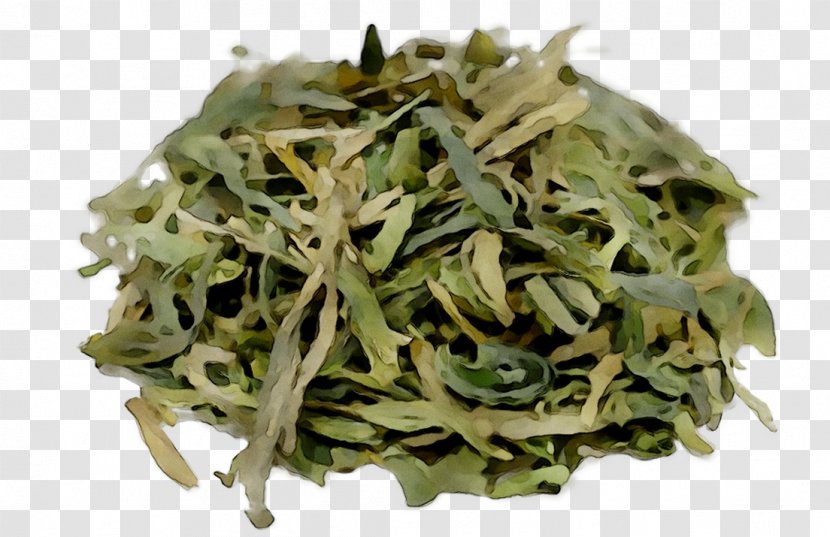 Celery Tea Food Vegetable Stuffing - Leaf - Flower Transparent PNG