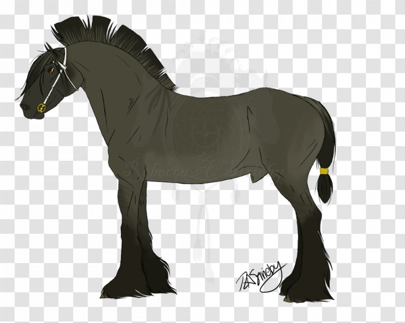 Stallion Mare Foal Mustang Mane Transparent PNG