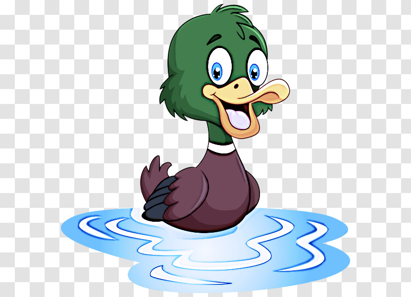 Birds Cartoon Beak Dodo Tit Transparent PNG