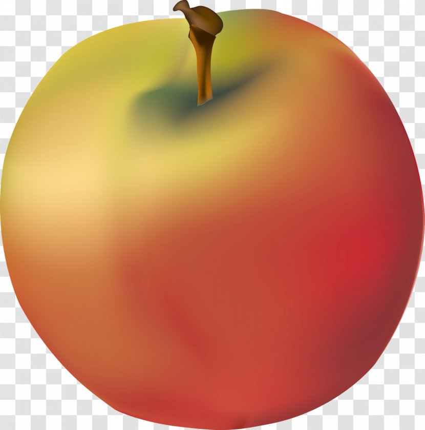 Apple Color Gradient Graphics Christmas Ornament Computer - Tree - Degradado Transparent PNG