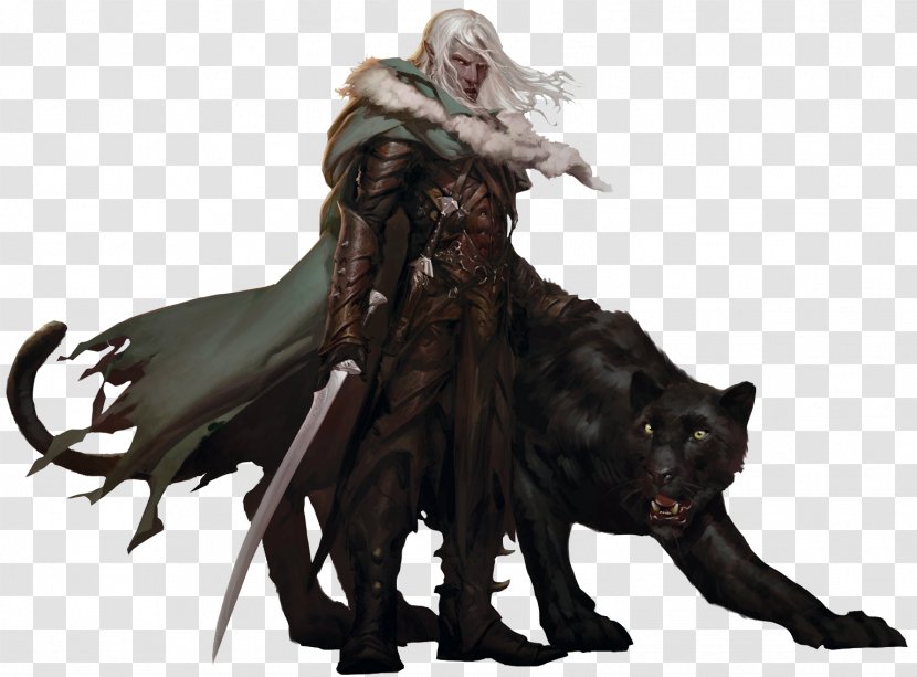Dungeons & Dragons The Companions: Sundering Legacy Drizzt Do'Urden House - Book - And Transparent PNG