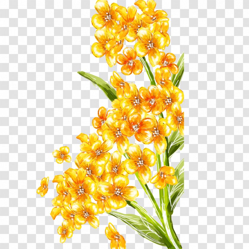 Floral Design Flower Bouquet Transparent PNG
