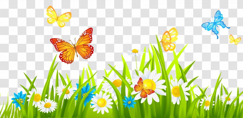 Flower Clip Art - Insect Transparent PNG