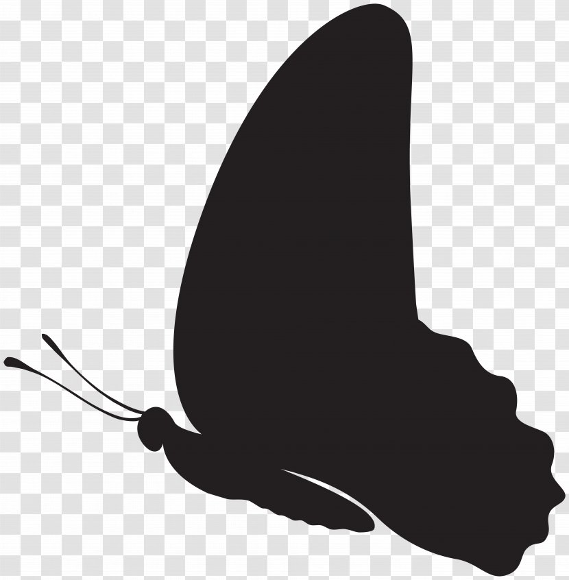 Black And White Design Silhouette Pattern - Butterfly Clip Art Image Transparent PNG