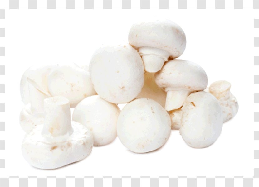 Common Mushroom Edible Shiitake Kaolin Farms Transparent PNG