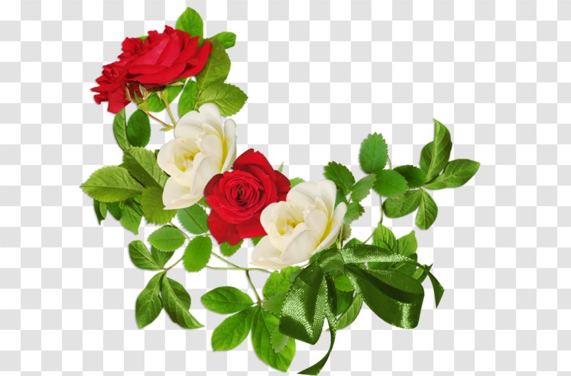 Rose Flower Clip Art - Floristry Transparent PNG