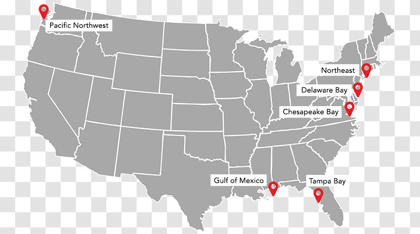 Propex Operating Company Library Florida Organization - United States Map Transparent PNG