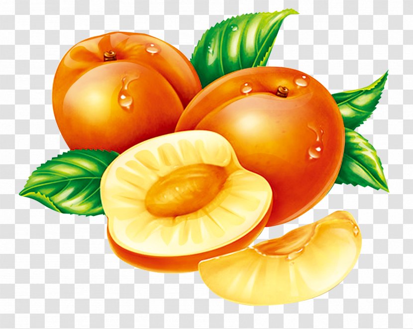 Fruit Dangshan County Apricot Peach Auglis Transparent PNG