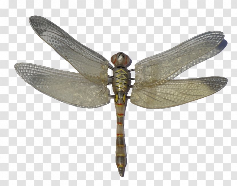 Insect Dragonfly Clip Art - Arthropod Transparent PNG