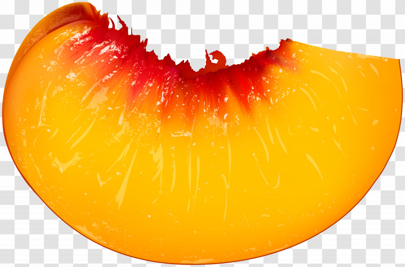 Orange Transparent PNG