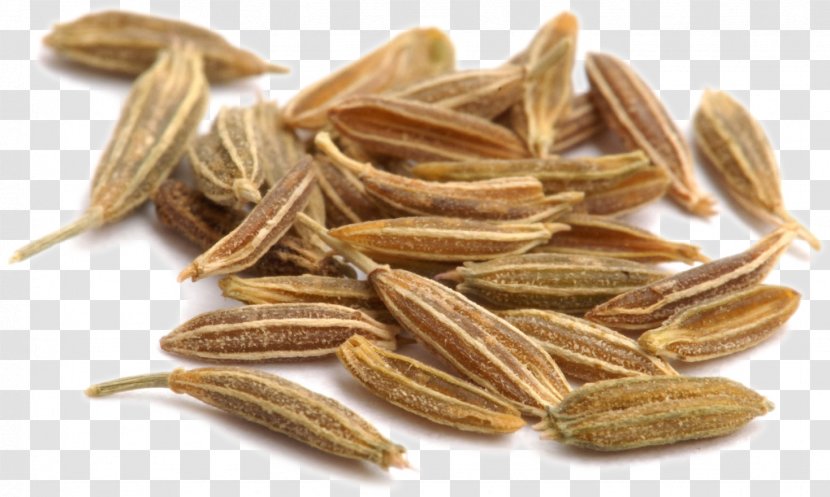 Cumin Tea Spice Plant Coriander - Sesame - Acco Transparent PNG