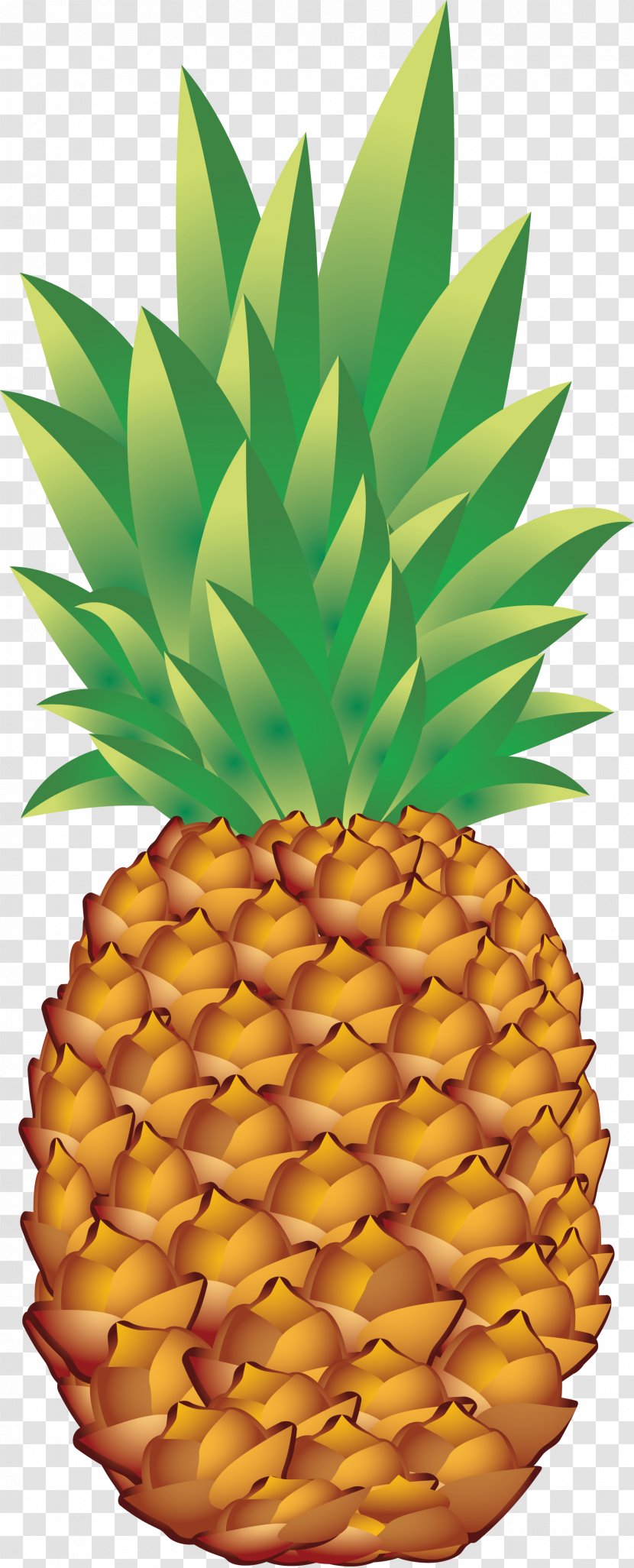 Pineapple Jus D'ananas - Bromeliaceae - Bun Transparent PNG