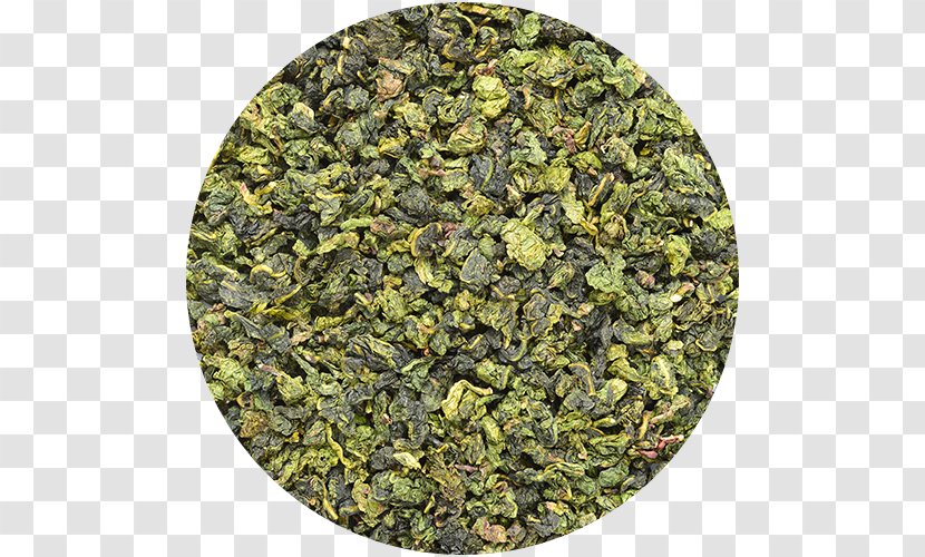 Green Tea Hibiscus Herbal Oolong - Caffeine - Western Recipes Transparent PNG