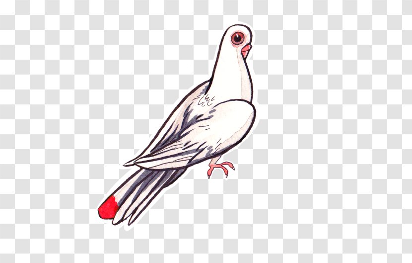 Goose Cygnini Water Bird Duck /m/02csf - Chicken - Pigeon Hawk Transparent PNG