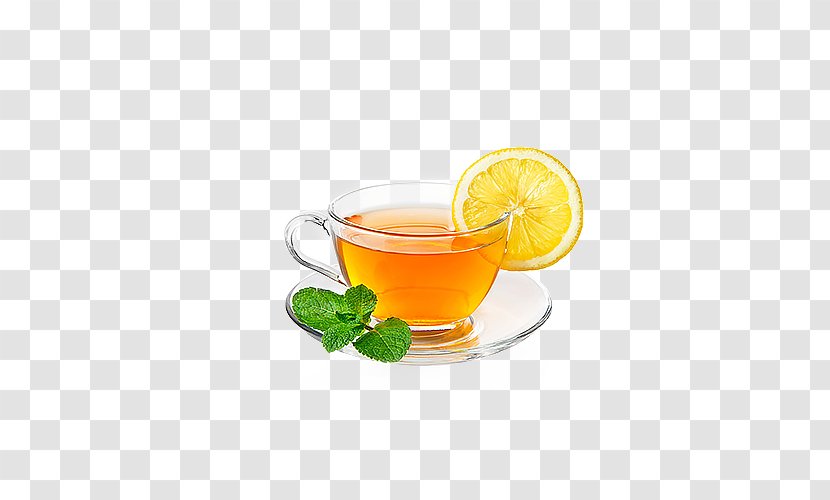 Green Tea Juice Ginger Masala Chai - Mate Cocido - Hot Lemon Transparent PNG