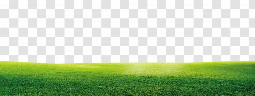 Lawn Grassland Sky Atmosphere Wallpaper - Green And Fresh Grass Border Texture Transparent PNG