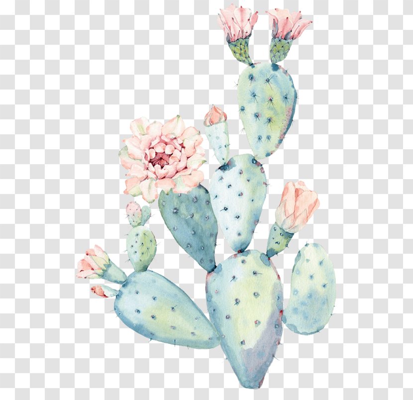 Cactus Watercolor Painting Pastel Art - Plants Transparent PNG