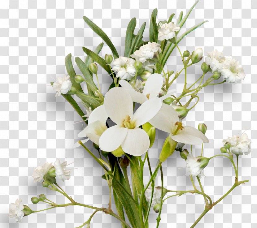 Cut Flowers Floral Design Floristry Flower Bouquet - Flowering Plant - Ear Of Rice Transparent PNG