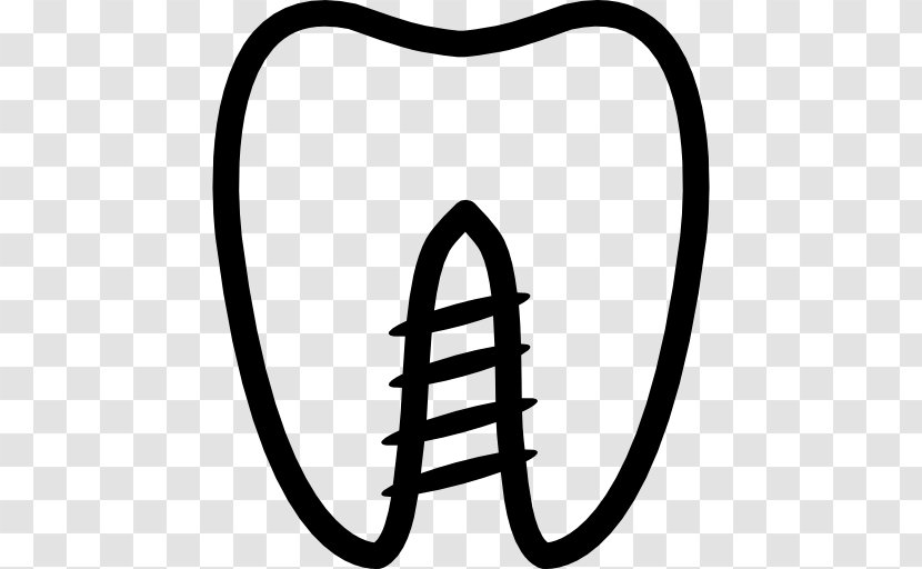 Human Tooth Dentist Loss Wisdom - Dental Implant - Smile Transparent PNG