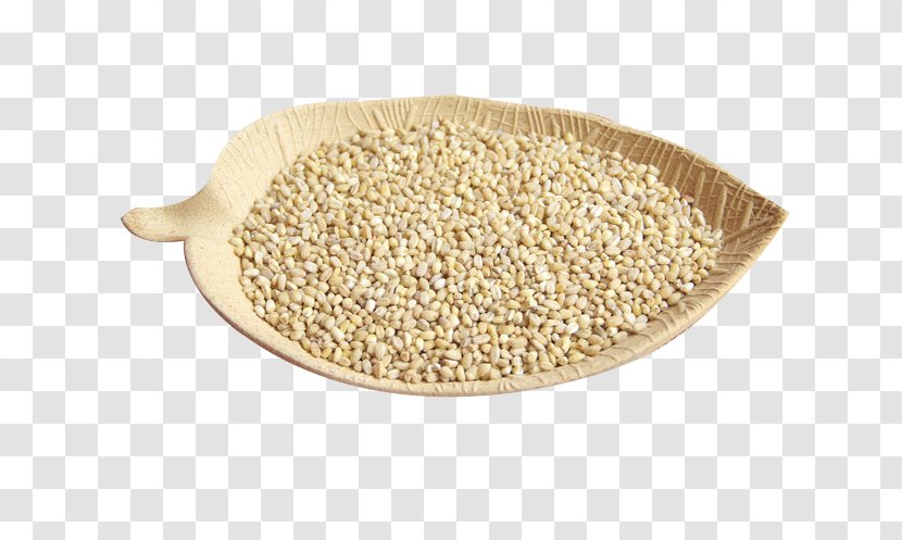 Organic Food Adlay Cereal - Ingredient - Barley Transparent PNG