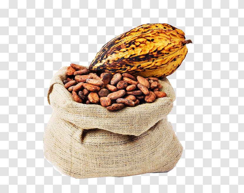 Criollo Cocoa Bean Trinitario Solids Chocolate - Almond Transparent PNG