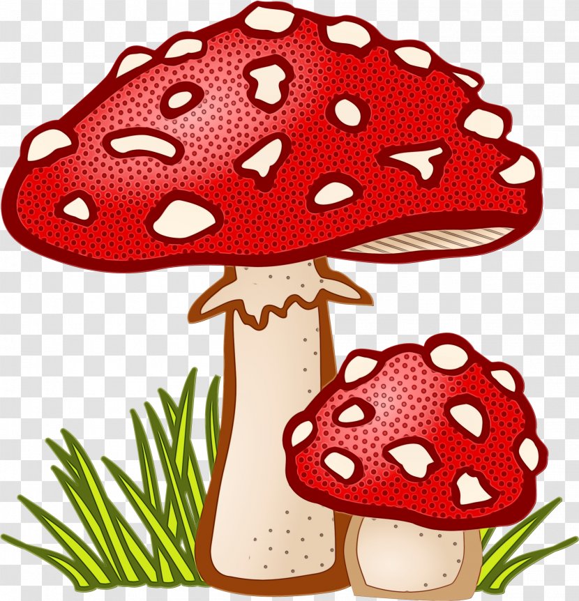 Clip Art Agaric Mushroom Fungus - Paint Transparent PNG