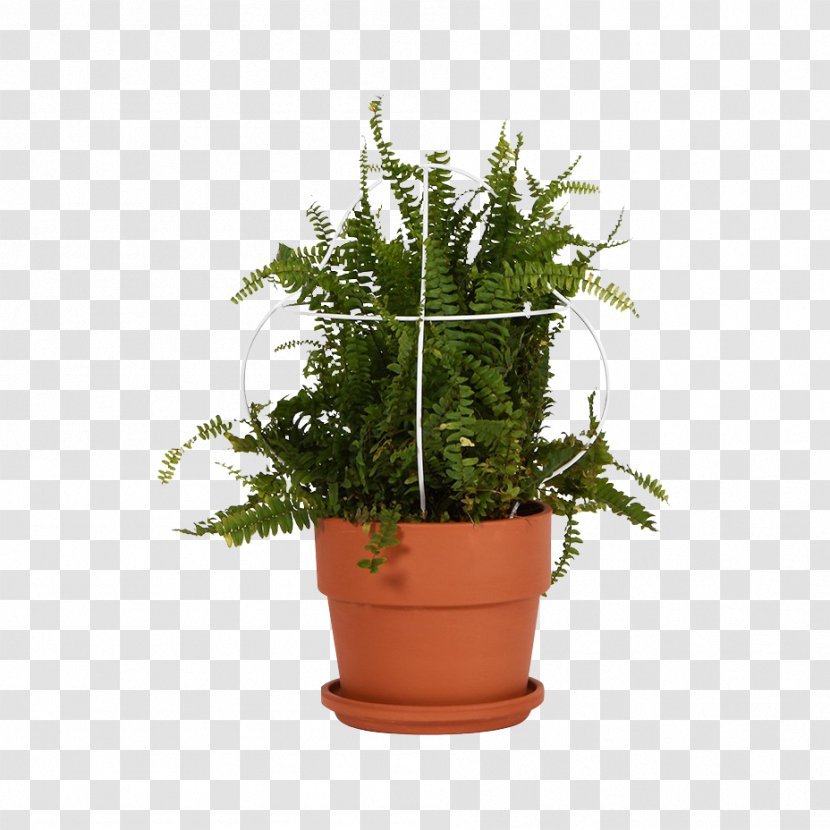 Flowerpot Vase Crock Houseplant Garden - Evergreen Transparent PNG