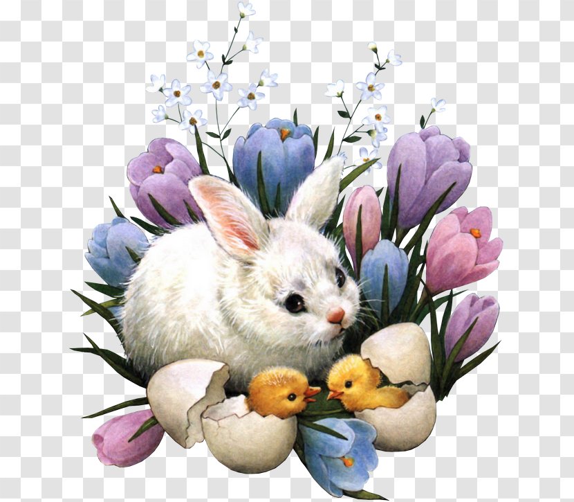 Easter Bunny Happy Easter! Egg Christmas - Whiskers Transparent PNG
