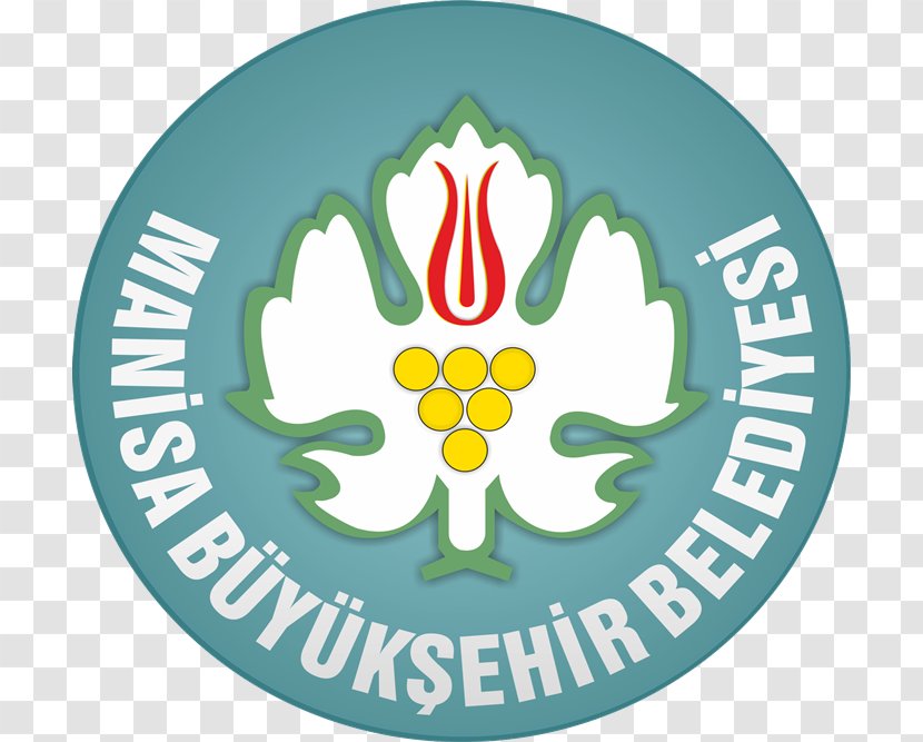 Manisa Municipality Tefenni Metropolitan Turgutlu Yunusemre - Area - Province Transparent PNG