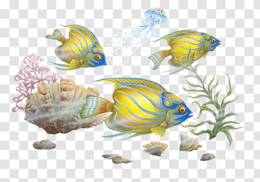 Colourful Fishes Clip Art - Freshwater Aquarium - Fish Transparent PNG