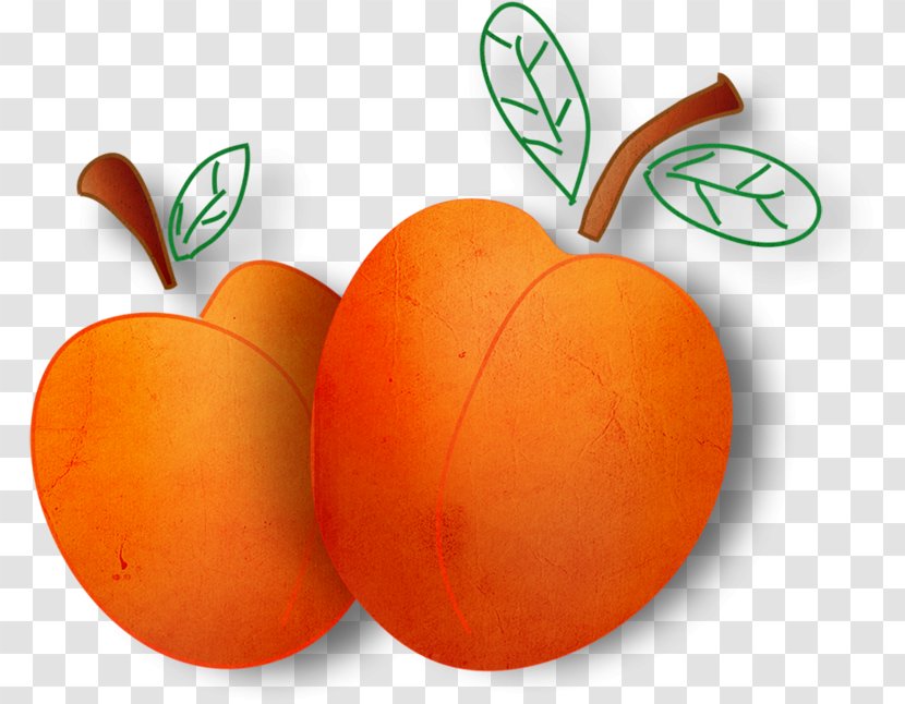 Orange Fruit Vegetable Transparent PNG