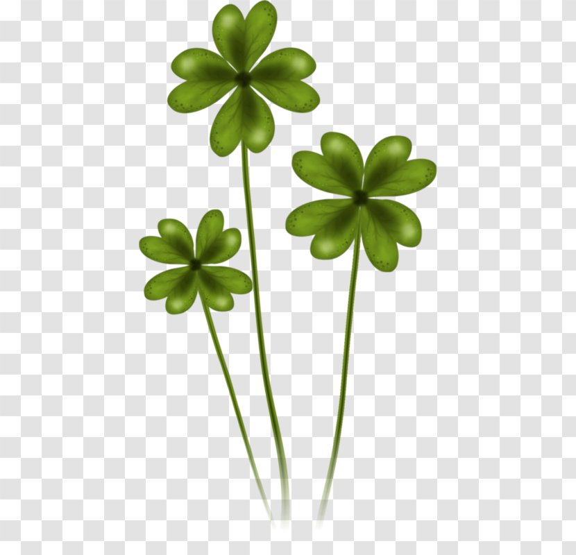 Saint Patrick's Day 17 March Shamrock Clip Art - Animation Transparent PNG