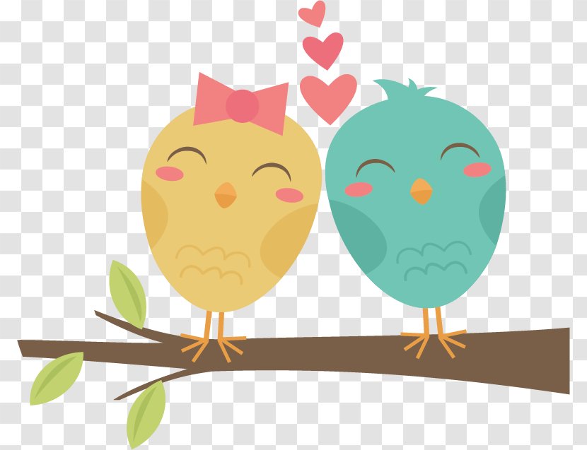 Lovebird Clip Art - Bird Of Prey - Cartoon Transparent PNG