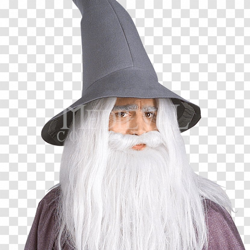 Gandalf The Lord Of Rings: Fellowship Ring Arwen Robe - Hat Transparent Background Transparent PNG