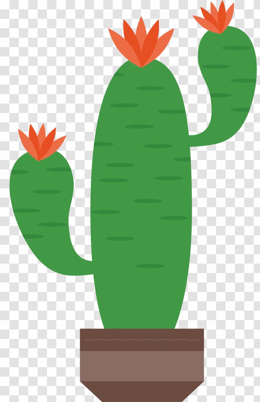 Cactaceae ArtWorks Illustration - Red - Green Cactus Vector Transparent PNG