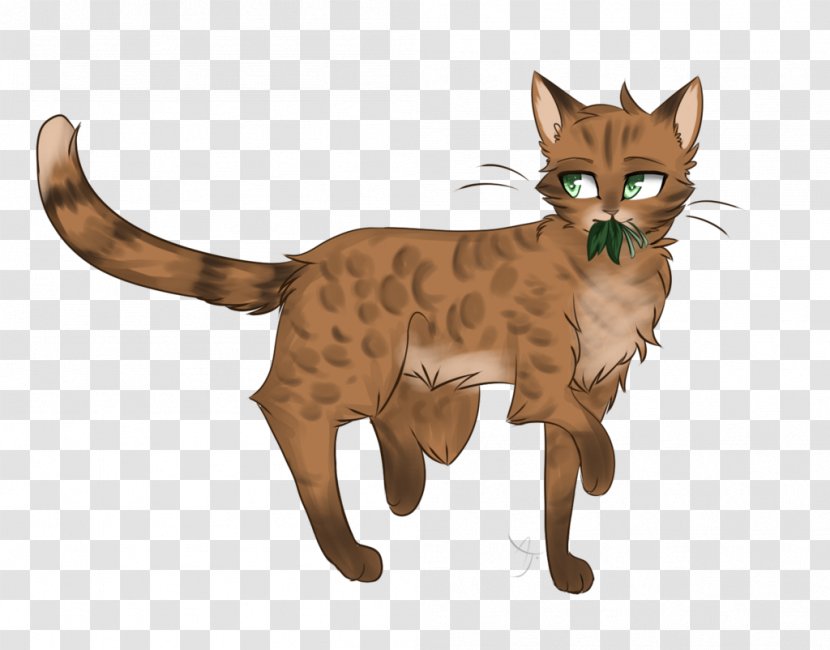 Whiskers Domestic Short-haired Cat Tabby Wildcat - Leopard Paw Warriors Transparent PNG