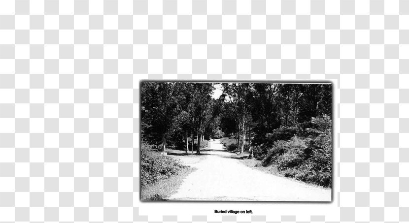 Paper Land Lot Picture Frames Tree Rectangle - Village Road Transparent PNG