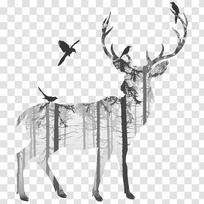 Deer Silhouette Drawing Photography Transparent PNG