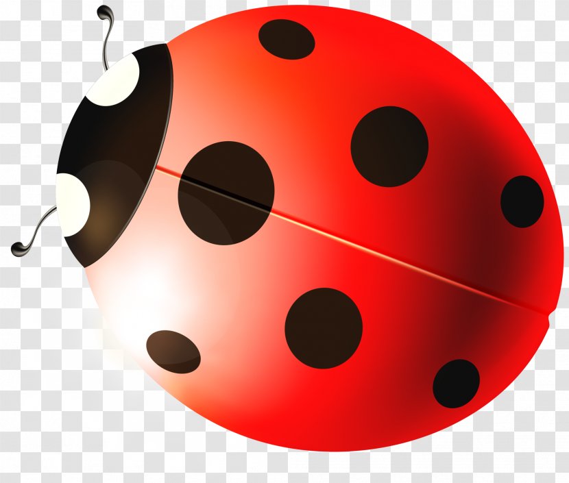 Ladybird Beetle - Red Cute Ladybug Transparent PNG