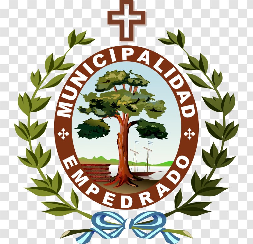 Municipality Of Empedrado Estación Torrent Organization Clip Art - Tree - Argentina Tag Transparent PNG