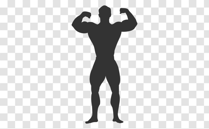 Biceps Muscle Bodybuilding - Presentation Transparent PNG