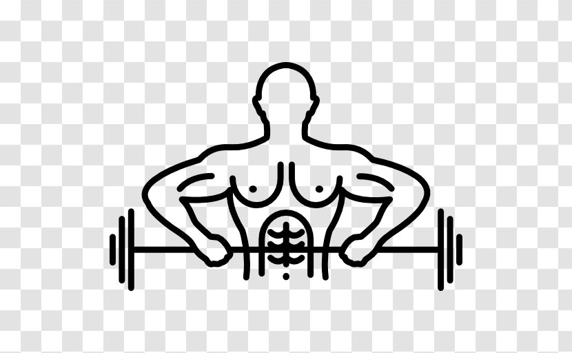 Dumbbell Weight Training Bodybuilding Olympic Weightlifting Exercise - Tree Transparent PNG